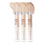 Консилер Relouis Y.O.U. Really Master of Masking — купить маскирующее средство в ЛНР оптом